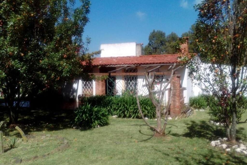 Rancho El Conejo, San Miguel de la Victoria (updated prices 2024)