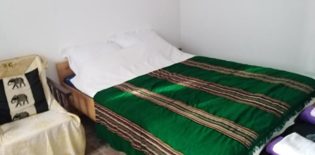 Una cama en una habitación con una manta verde. en Casa Garden Wellness, en Eforie Nord