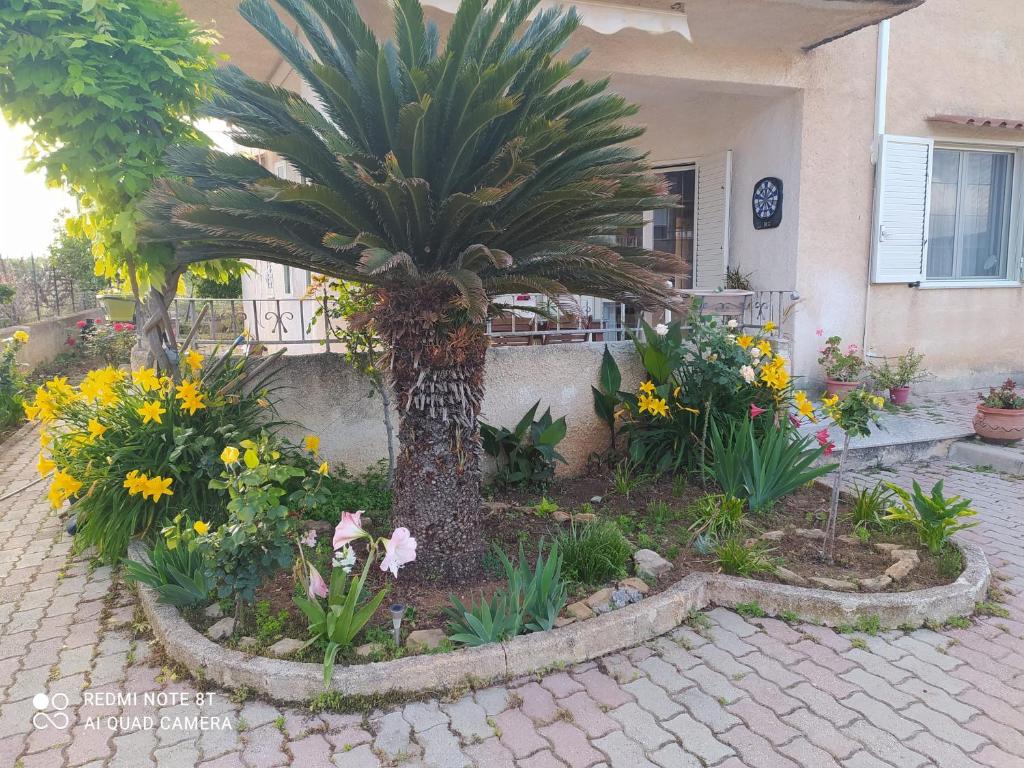 a garden in front of a house with a palm tree at Casa Vacanze Villa Verde - Ribera in Ribera