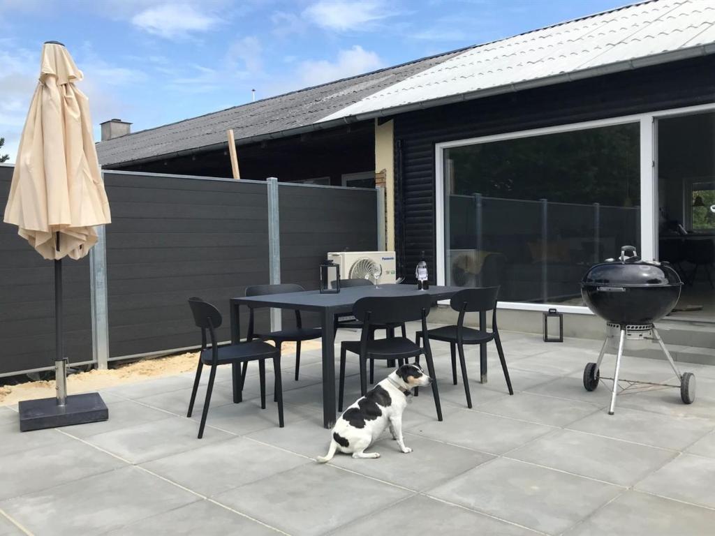 a black and white dog sitting next to a table and chairs at Apartment Esger - all inclusive - 900m from the sea by Interhome in Blåvand