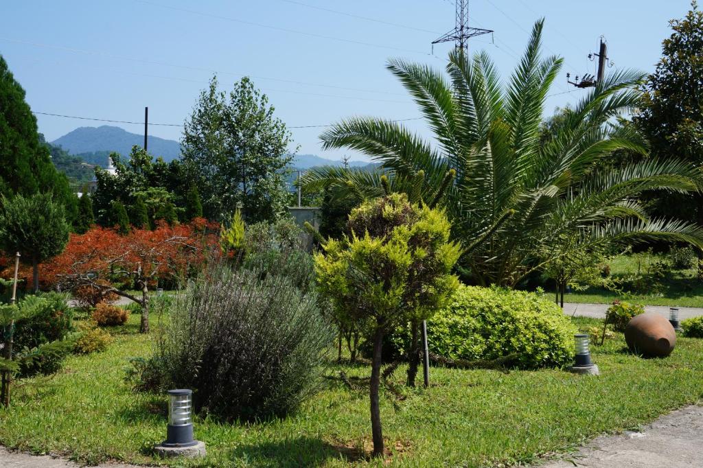 Zahrada ubytování Villa Qero