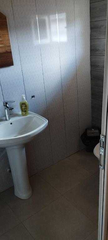 Koupelna v ubytování Guesthouse Omalo