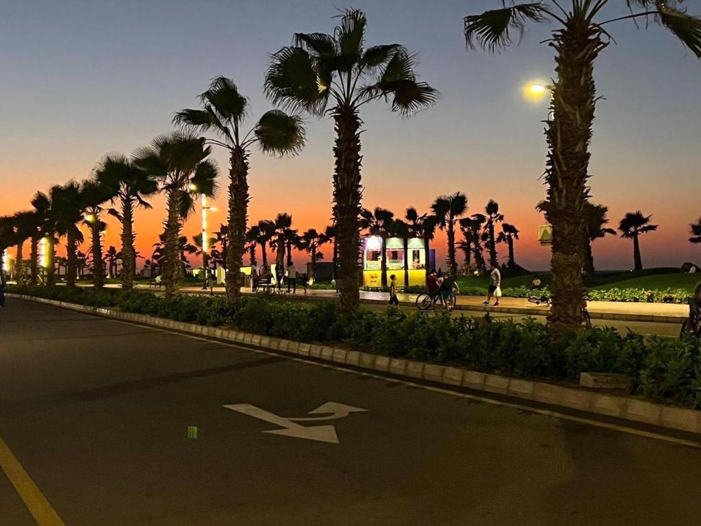 une rue avec des palmiers et une camionnette jaune dans l'établissement Porto Said Resort Rentals, à Port-Saïd
