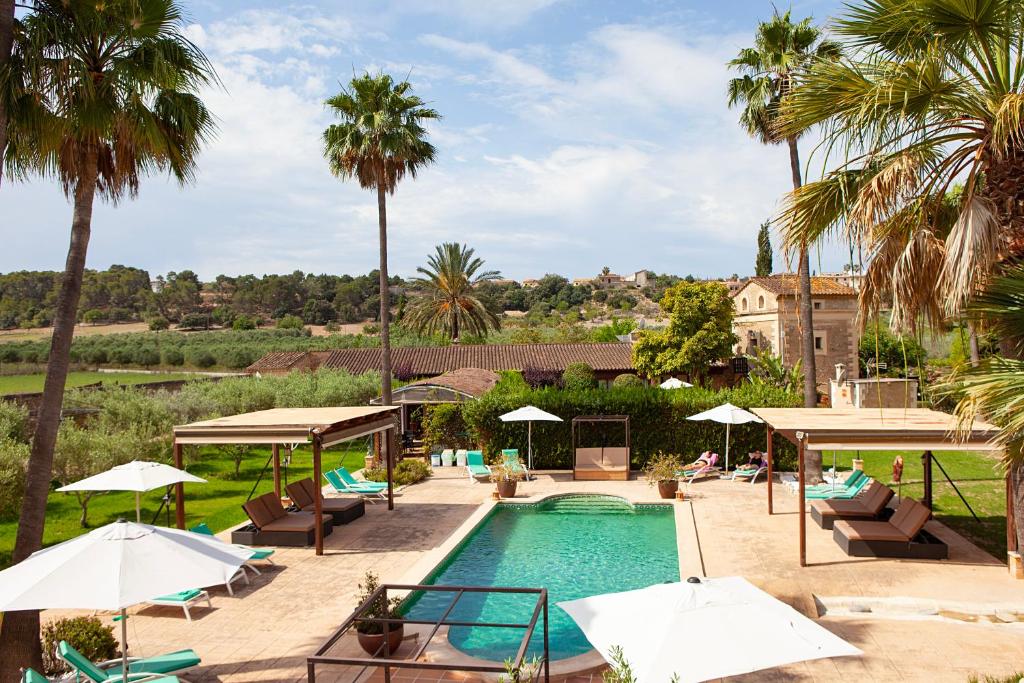 a pool with chairs and umbrellas and palm trees at S'Hort de Son Caulelles - Adults Only in Marratxí 