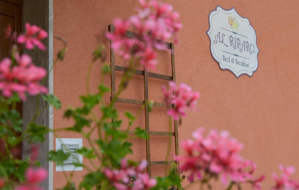 Al Riparo Affittacamere في فينالي ليغوري: حفنة من الزهور الزهرية بجوار جدار مع علامة