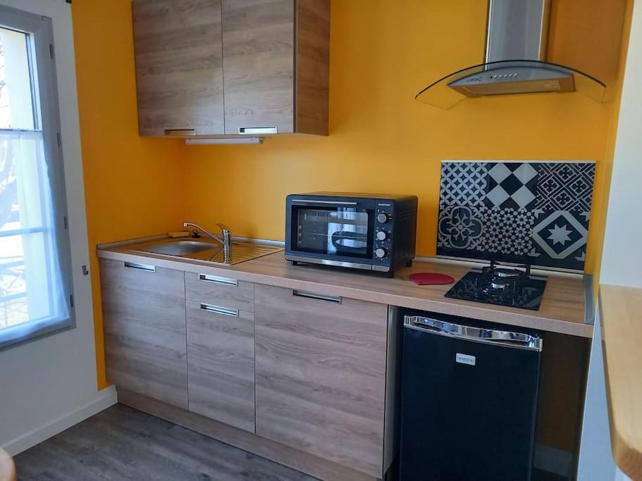 eine Küche mit einer Spüle und einer Mikrowelle in der Unterkunft La Grelauderie 4 in Saintes
