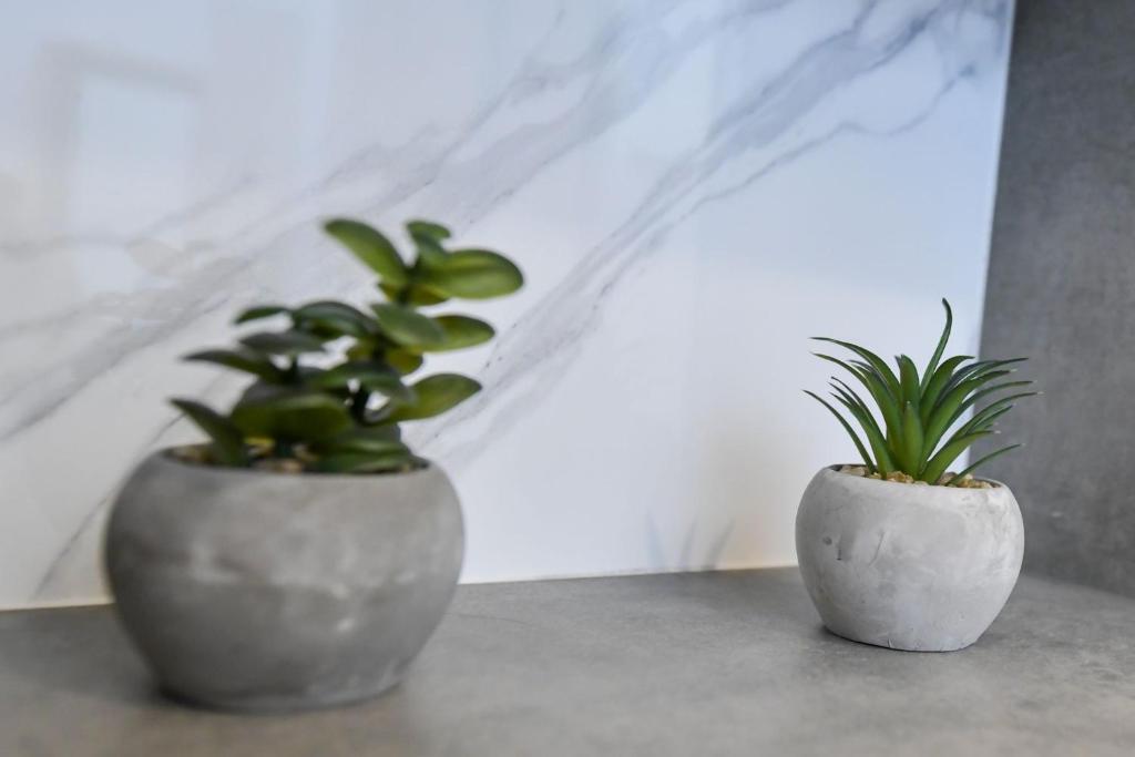 REZYDENCJA ZATOR - 16