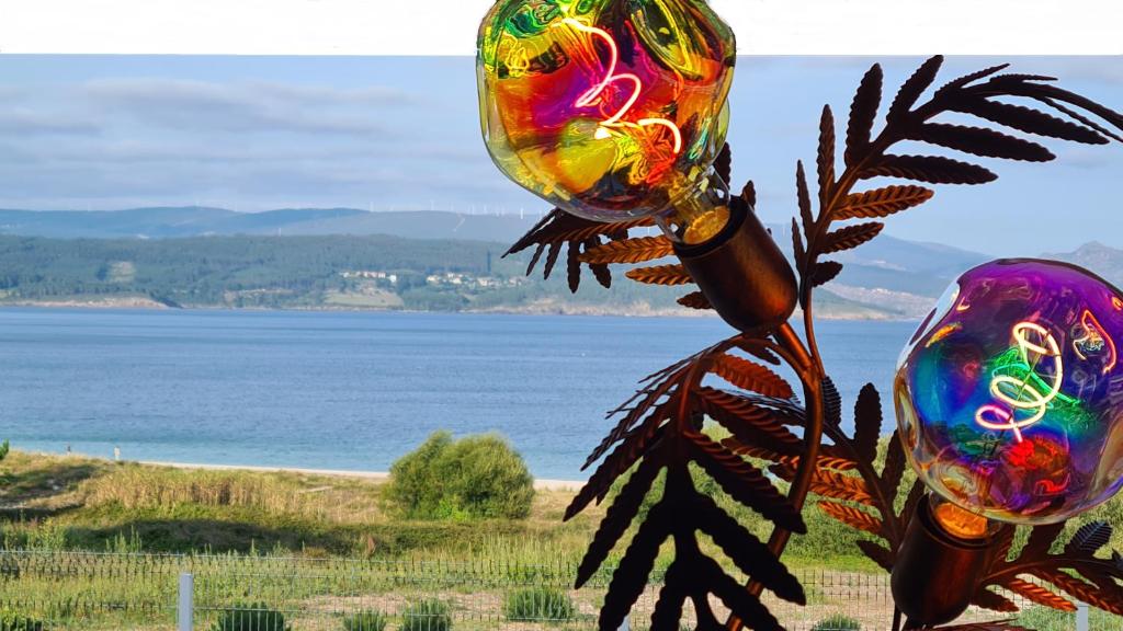 a metal sculpture of a plant with the ocean in the background at Apartamento Capricho Finisterre Playa in Finisterre
