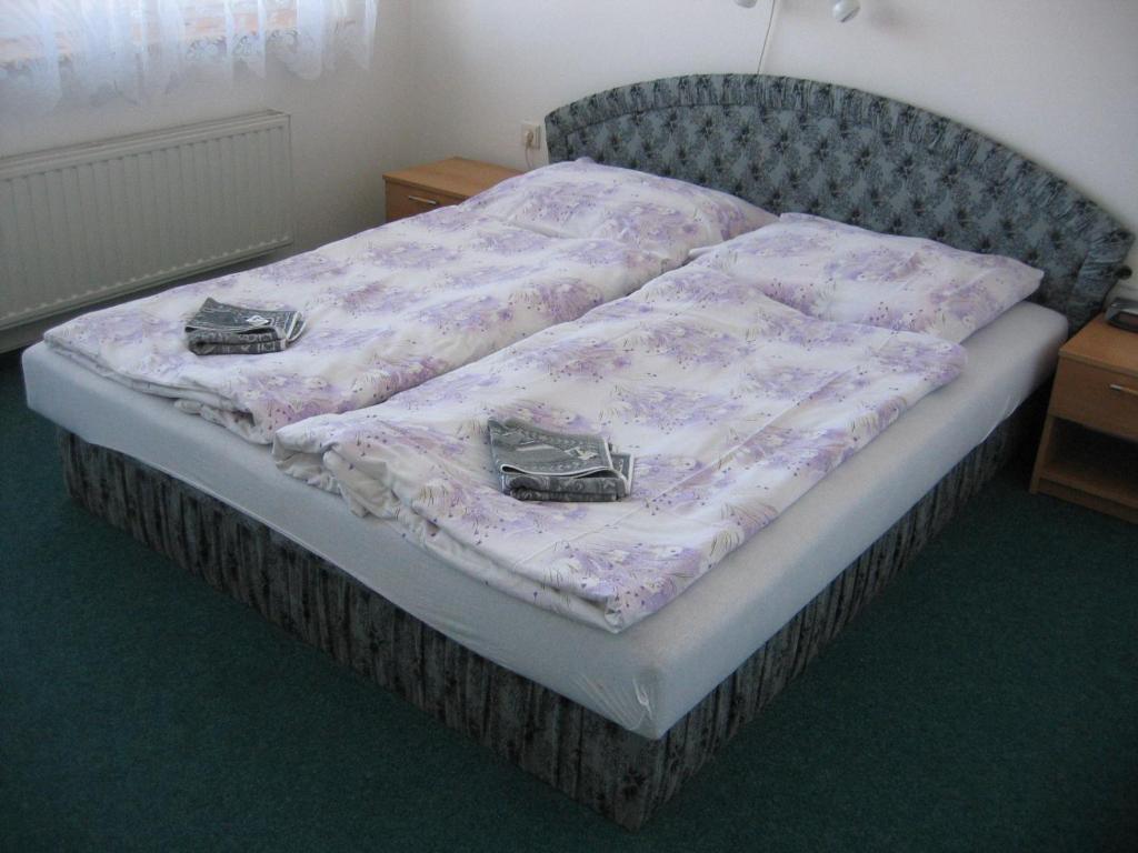 Postel nebo postele na pokoji v ubytování Hotel Morava
