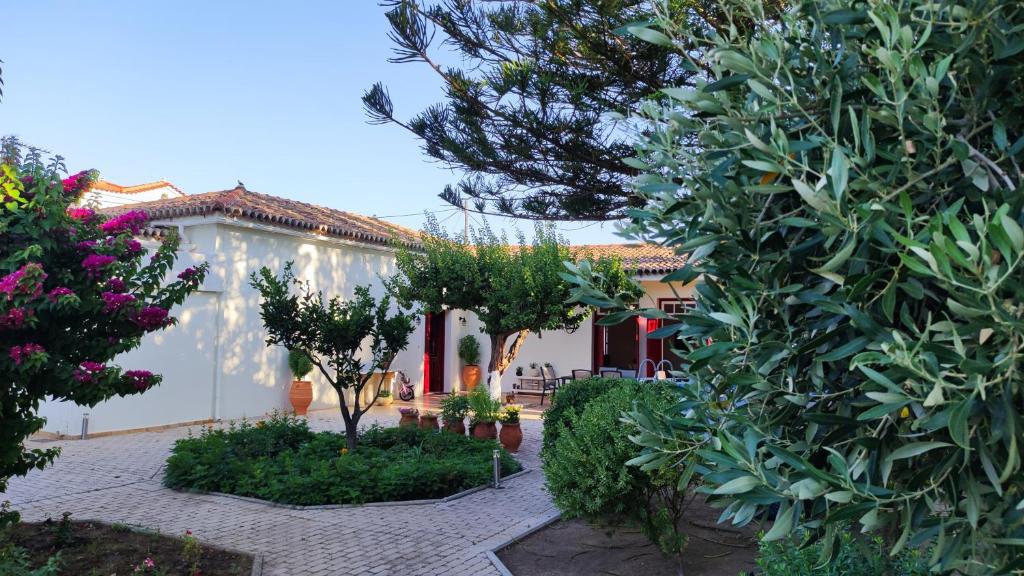 ein Haus mit Bäumen und Pflanzen davor in der Unterkunft Mediterranean house with beautiful garden in Karlovasi