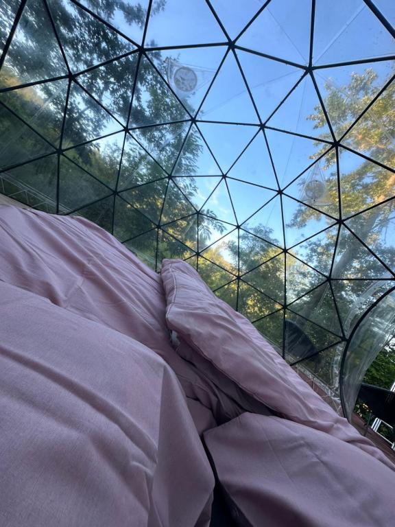 a bed in a room with a glass ceiling at Erdei Buborék in Szarvaskő