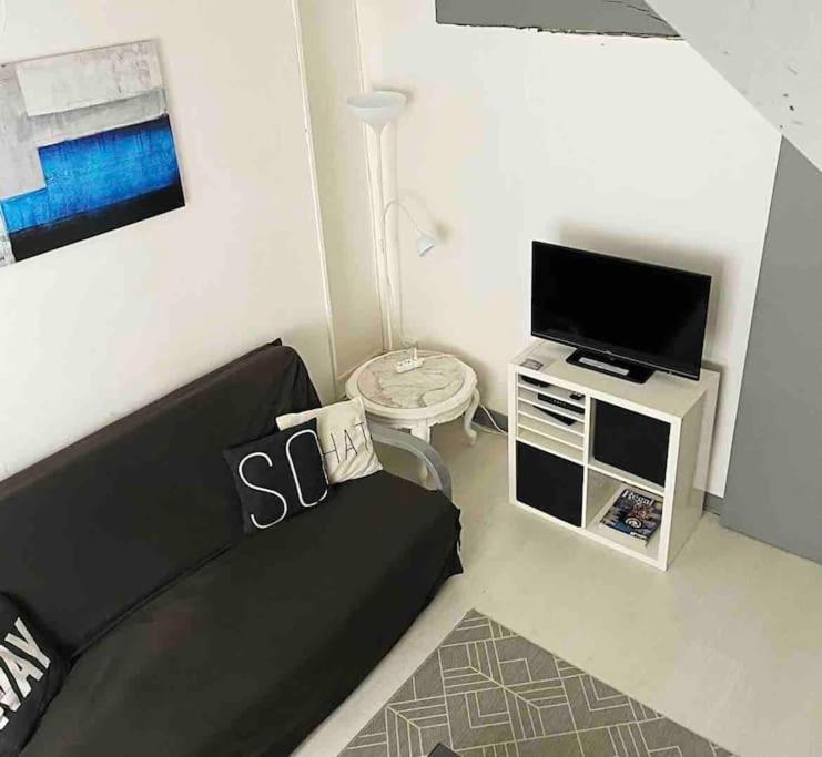 un salon avec un canapé noir et une télévision dans l'établissement REIMS - Duplex au cœur du quartier Saint-Remi, à Reims