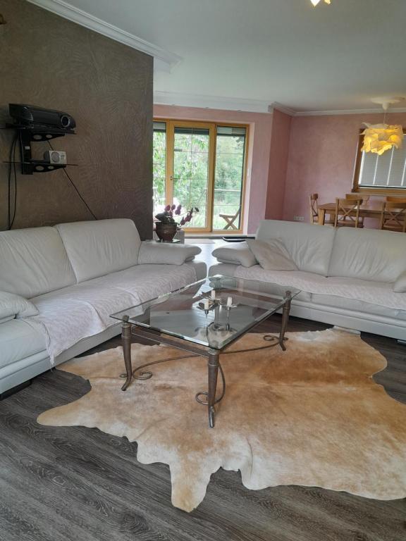 a living room with white couches and a glass table at Wildes Paradies,135 qm Ferienwohnung im Naturgarten in Chemnitz