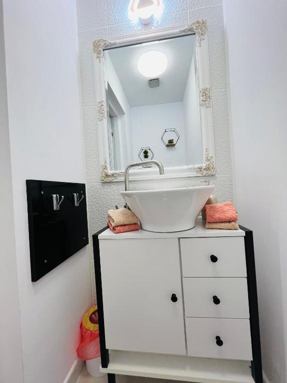 Fotografie z fotogalerie ubytování Sal Apart v destinaci Temešvár