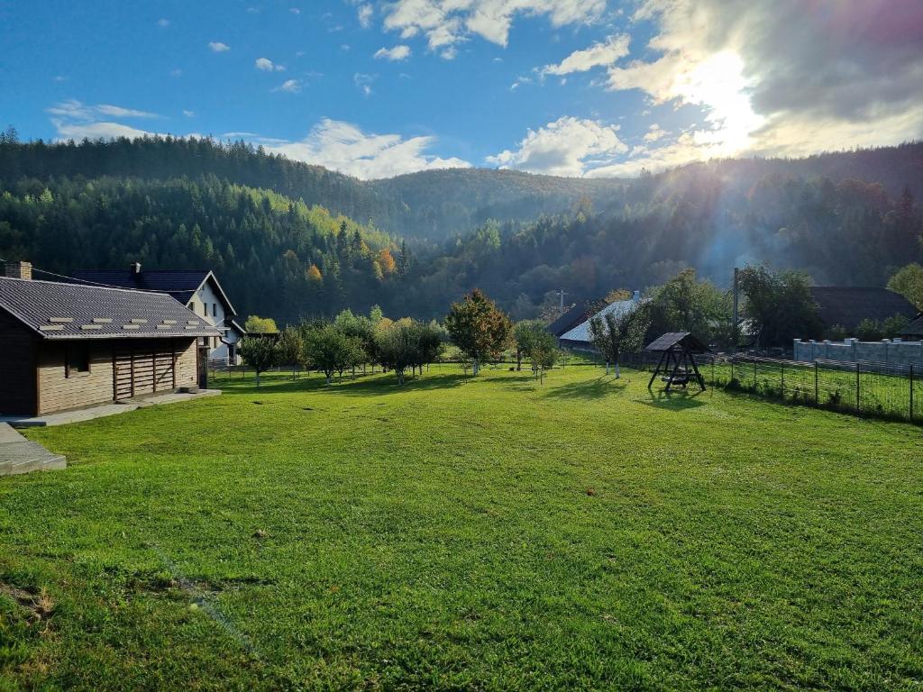 a large grassy yard with a house and mountains in the background at Casa Lia Voroneț in Voroneţ