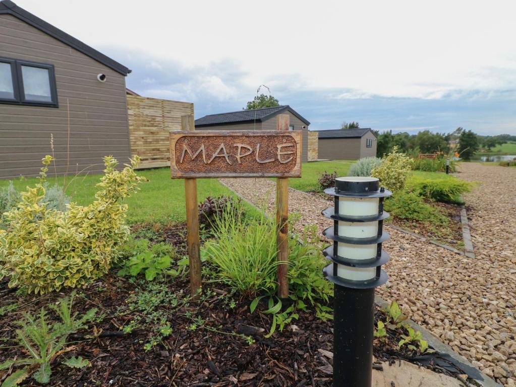 Maple