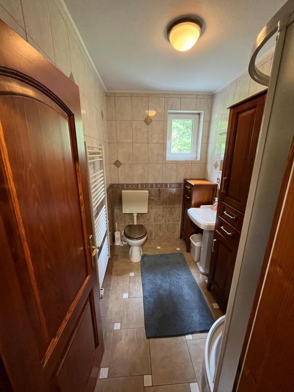 Koupelna v ubytování Rogla Apartma Kekec