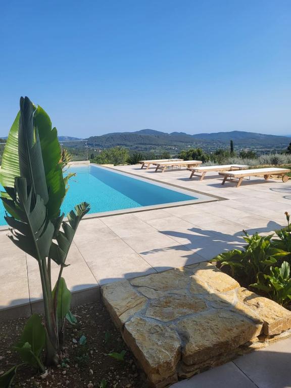 un palmier à côté d'une piscine dans l'établissement Aux jolies pierres, à Laouque