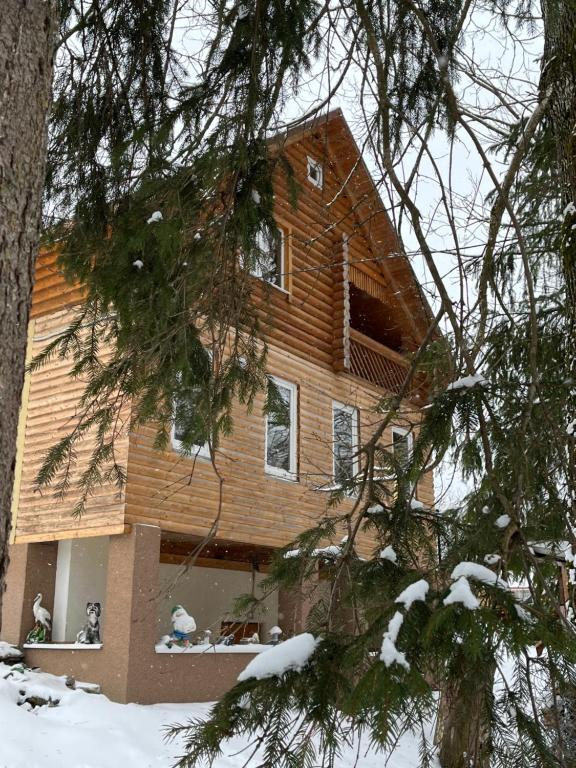 PilipetsにあるBeautiful houseの雪中の木造家屋