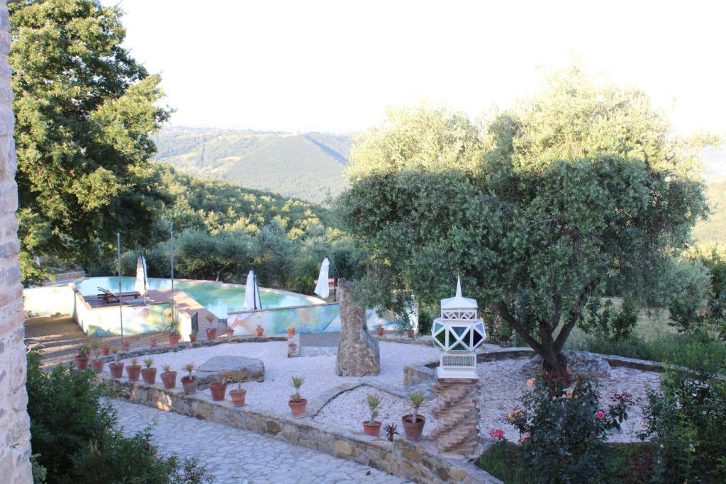 a garden with a tree and some plants at LE PIETRE PARLANTI RESORT & WINERY in Montegabbione
