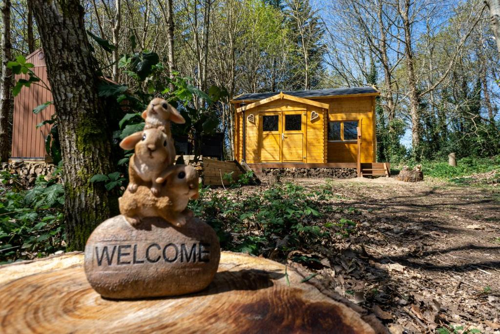 Zahrada ubytování Cabane insolite avec escape game