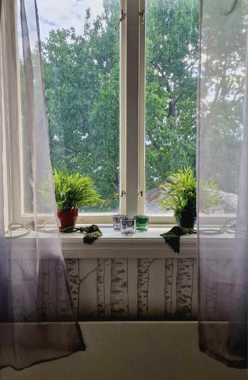 Zahrada ubytování Berggården Vandrarhem