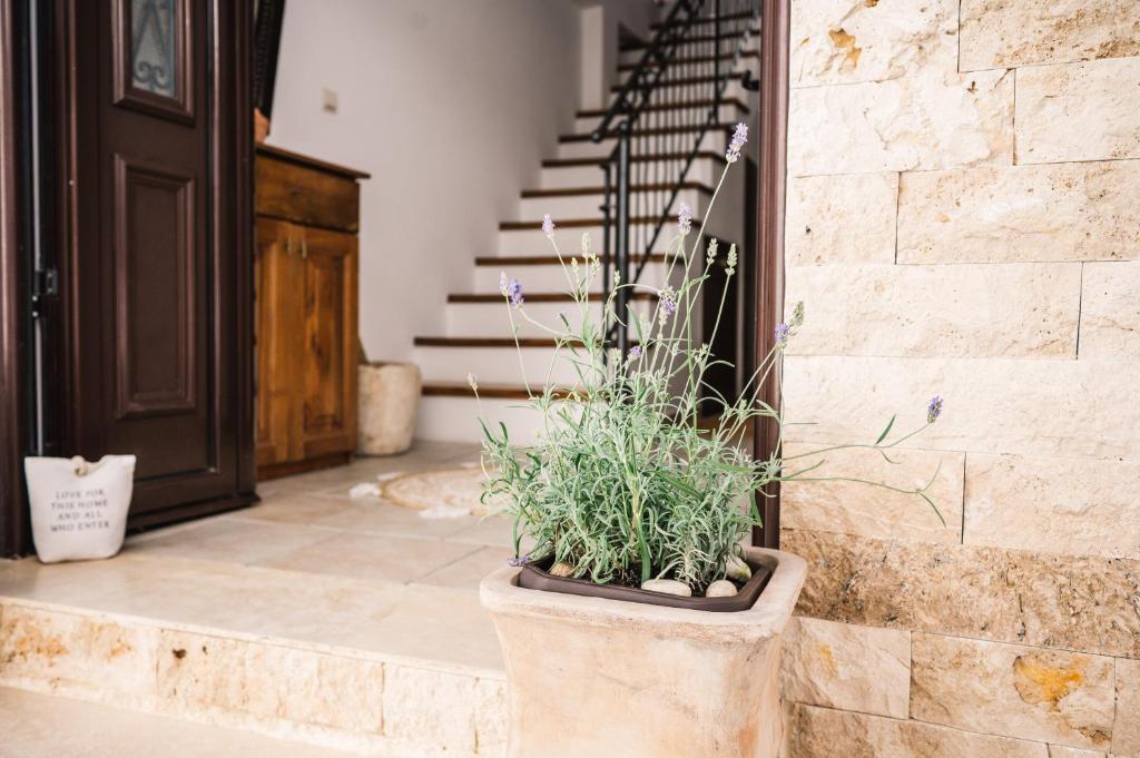 a potted plant sitting on the side of a staircase at Guest house Mirah in Ulcinj