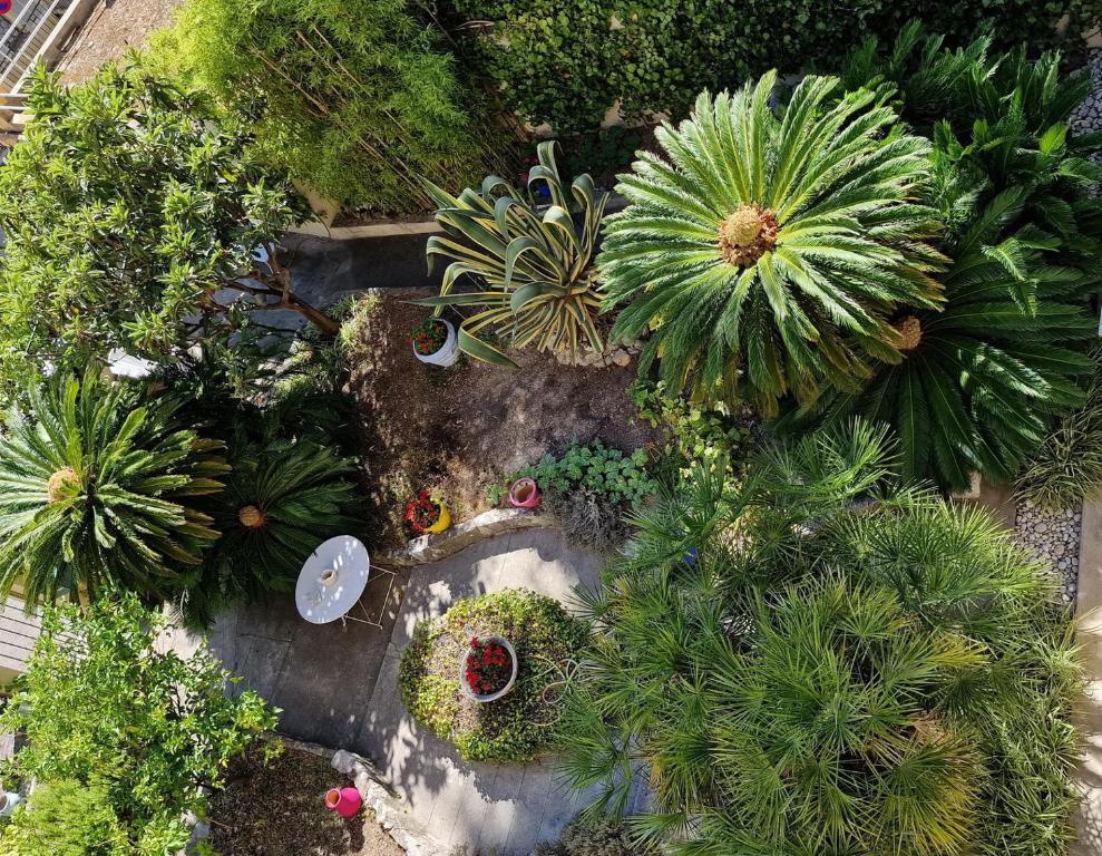 Elle offre une vue sur un jardin planté de plantes et d'arbres. dans l'établissement Apartement GT, à Nice
