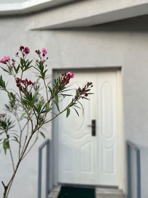 un jarrón con flores rosas delante de una puerta en Cozy Corner Apartment, en Gjakove