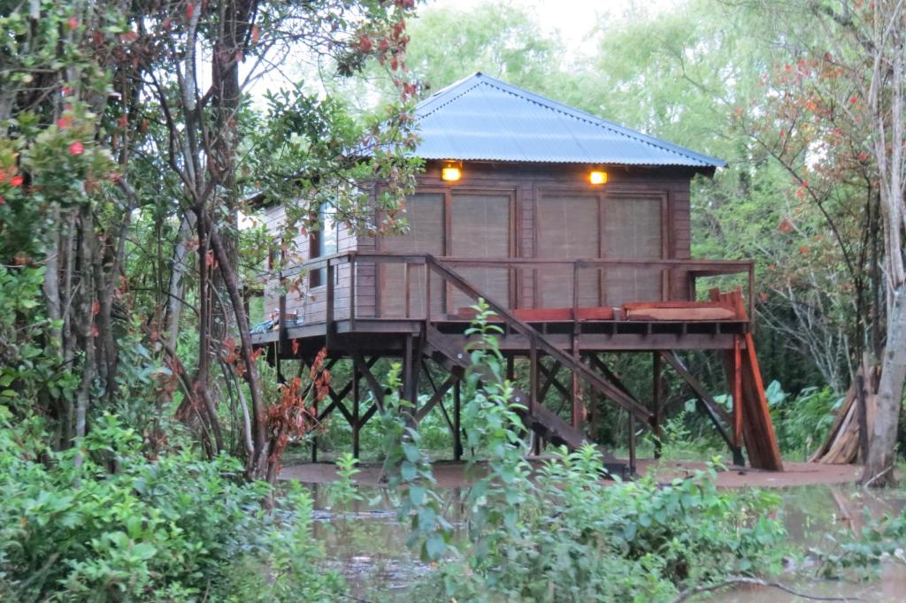 una casa en el árbol en medio de un bosque en La Tolerancia en Tigre