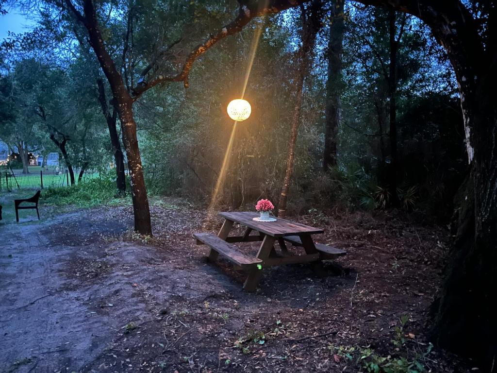 una mesa de picnic con una luz encima en Your Personal 'Glamp' Site! AC - BBQ - Fast WiFi, en De Land