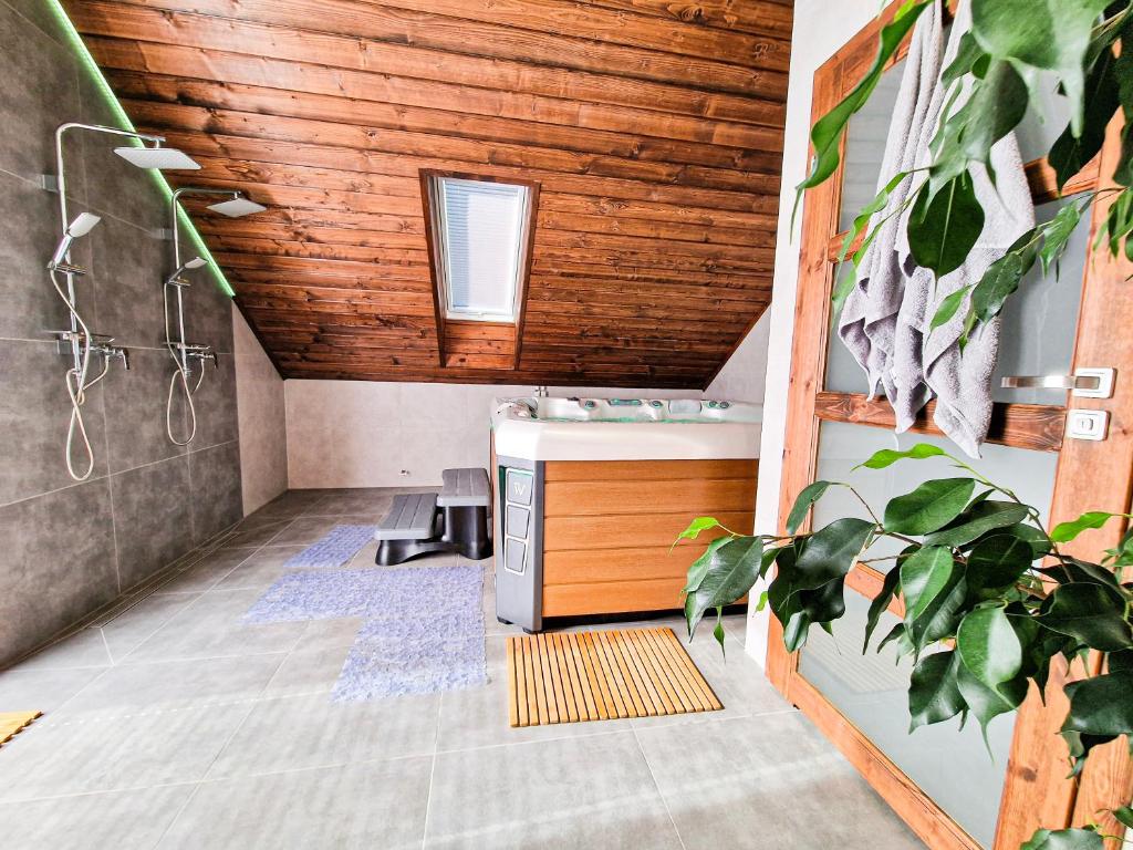 ein Bad mit einer Dusche und einem Waschbecken in einem Zimmer in der Unterkunft GraVelo - Apartament Jacuzzi in Bartkowa-Posadowa