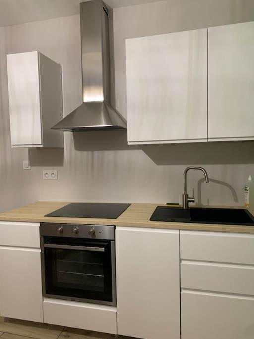 La cuisine est équipée de placards blancs, d'une cuisinière et d'un évier. dans l'établissement Petite maison proche de Cambrai, à Iwuy