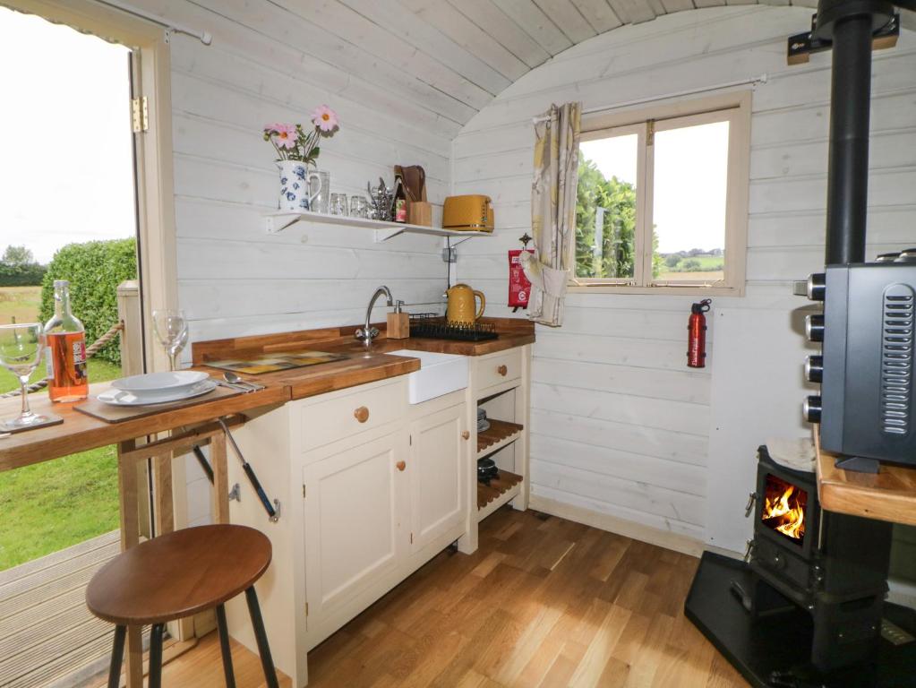 a kitchen with a stove in a tiny house at Flora's Hut in Liskeard