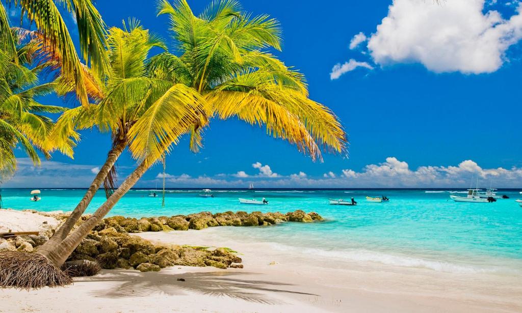 a beach with palm trees and boats in the water at 6 Sandy Surf, Worthing Christ Church in Christ Church