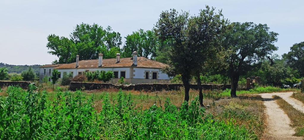 een huis in het midden van een veld bij Casa Rural Finca San Bernardo 3 estrellas in Montehermoso