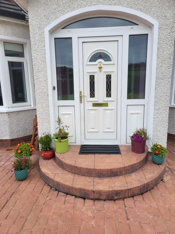 a white door with potted plants in front of a house at Tullyvinney Lodge in Raphoe