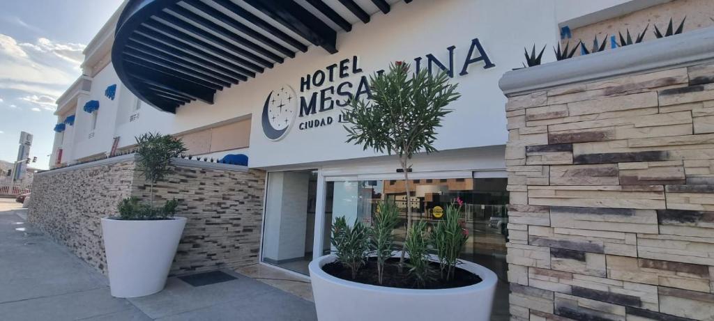 a building with two potted plants in front of it at Hotel Mesaluna Short & Long Stay in Ciudad Juárez
