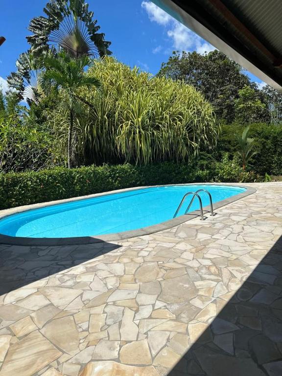 a blue swimming pool with a stone walkway next to at Villa REYDISIA in Saint-Laurent du Maroni