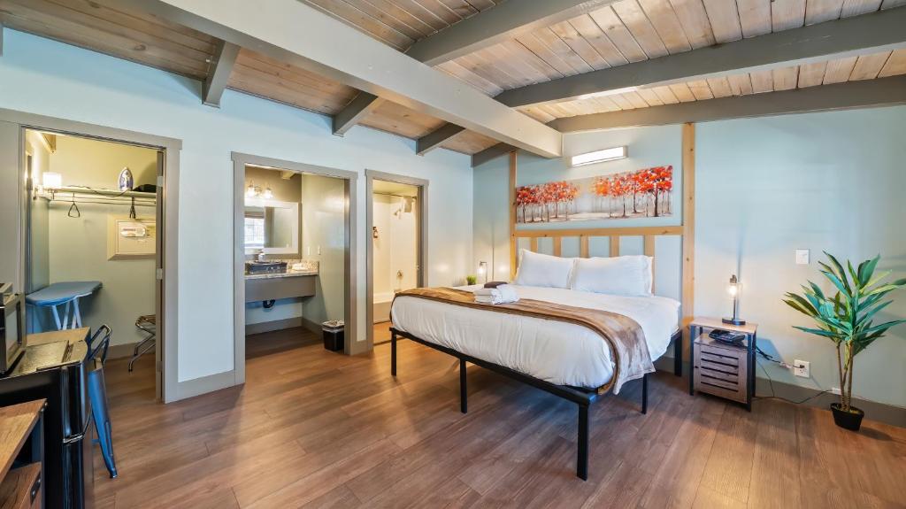 Blue Jay Lodge - King Room