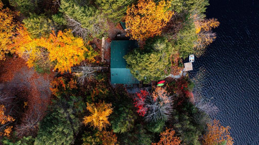an overhead view of a forest of trees next to a lake at Panoramic Water Views , cozy house in Henniker ,NH in Henniker