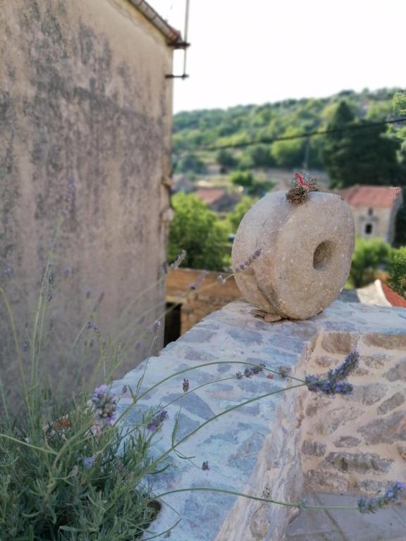 Fotografie z fotogalerie ubytování Villa Teza Hvar v destinaci Hvar
