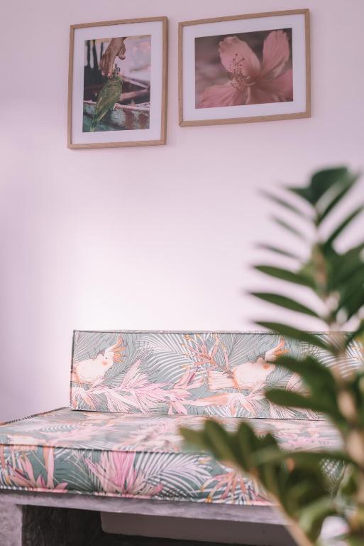 Posezení v ubytování Cactus Lodge Pipa