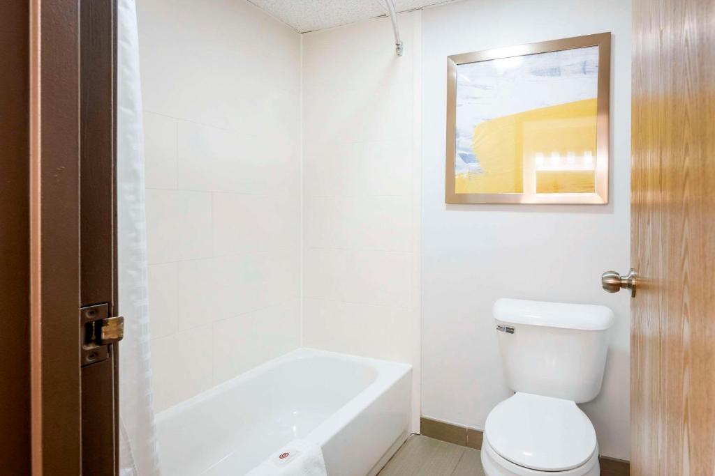Comfort Inn Hastings photo