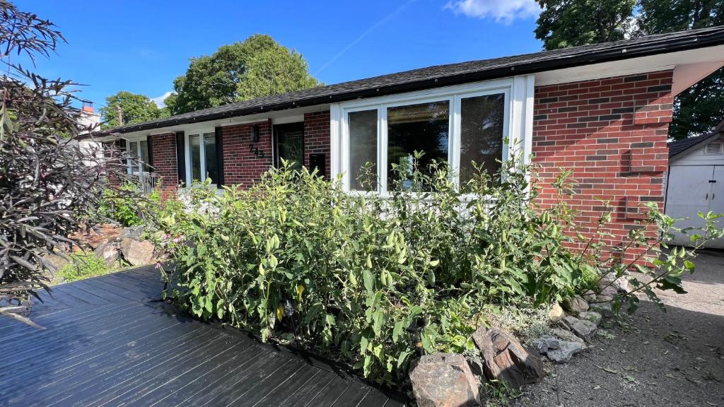 Apartment Three Bedroom Home with Pool Near Trent University