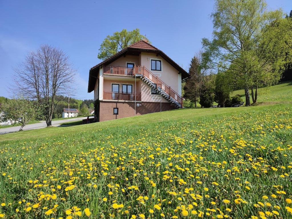 ein Haus auf einem Hügel mit einem Blumenfeld in der Unterkunft Ferienhaus Schöller in Schönbach