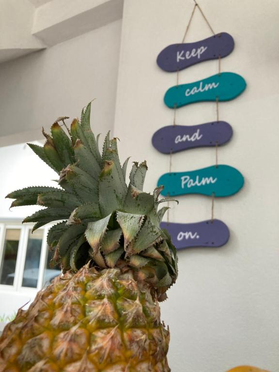 Certifikát, hodnocení, plakát nebo jiný dokument vystavený v ubytování The Calm Palm