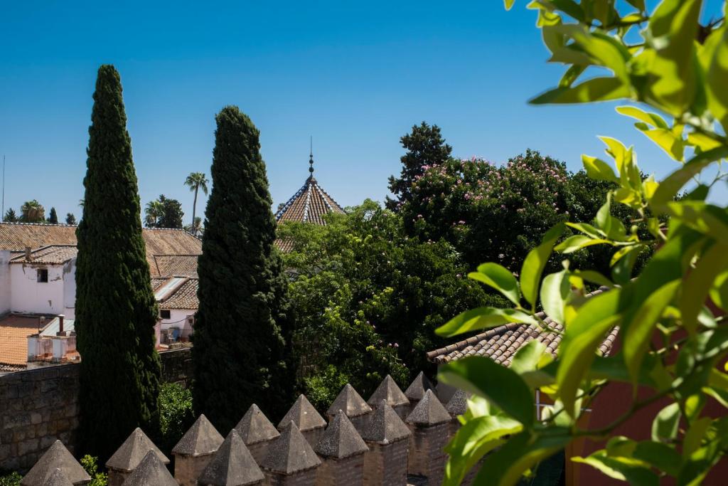 Magno Apartments Santo Tomas, Seville – Updated 2023 Prices