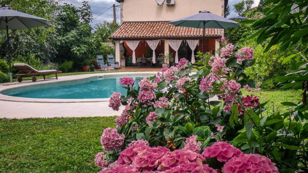 a garden with pink flowers and a swimming pool at Apartment Nona Ančka in Marezige
