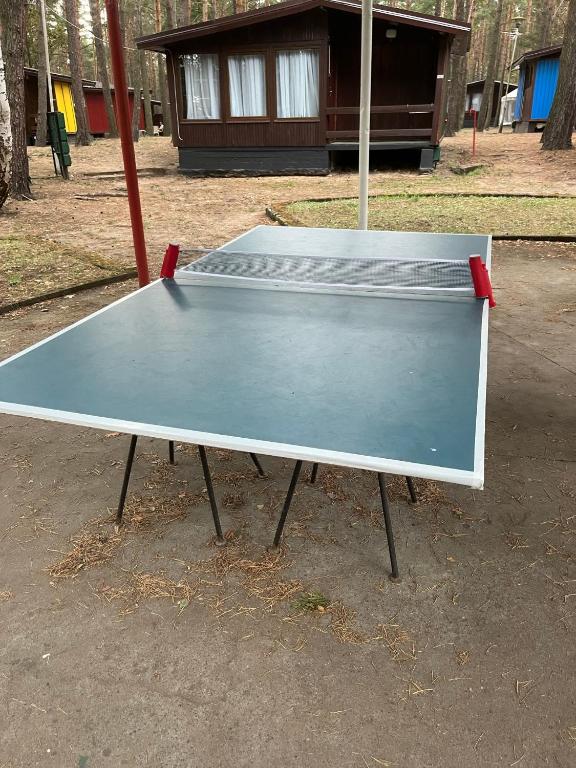 Stolný tenis v ubytovaní Ośrodek Wczasowy WARMA alebo v jeho okolí
